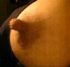 6919/P10-05-10_20_40.jpg