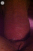 7129/foto-1.PNG