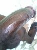 7329/BITEBLACK_2012-04-23-8.jpg