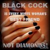 5386/nig04905x.jpg