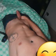 Bull25