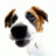 monellicp