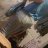 sharedwife81