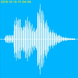 AUDIO MOGLIE SARDA