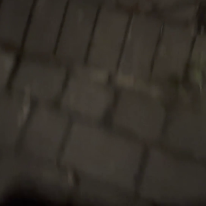 moglie cuckold e il suo toro nero