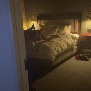 piccola parte della loro scopata di tre ore