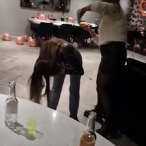 cazzo nero dopo la festa